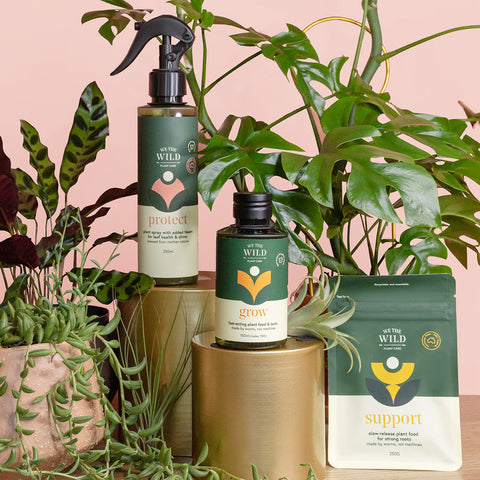 House Plant Care Essentials Kit