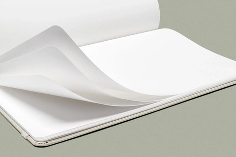 Sustainable paper without a tree in sight