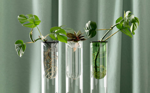 Indoor Garden Planters