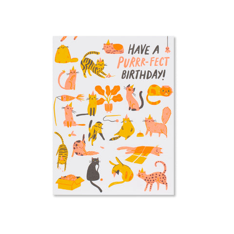 Purrfect Birthday Greeting Card