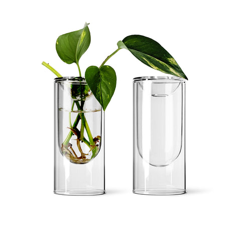 Propagation Vase Small Set of 2