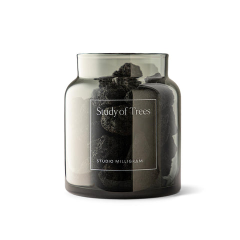 Study of Trees Scented Volcanic Rock Set