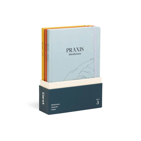 Praxis Method Journal Set