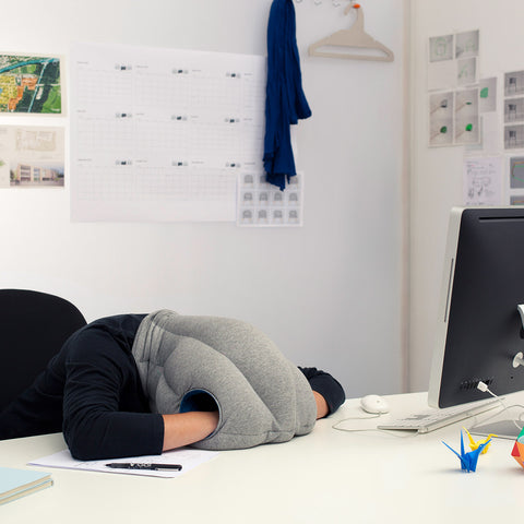 Original Napping Pillow